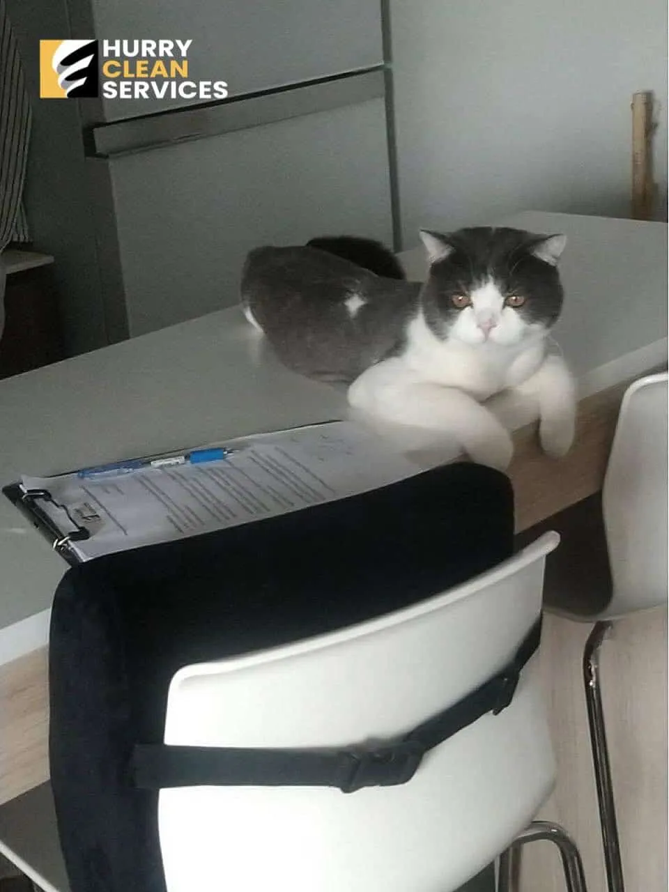 review from pets
